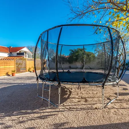 Pet Friendly In *